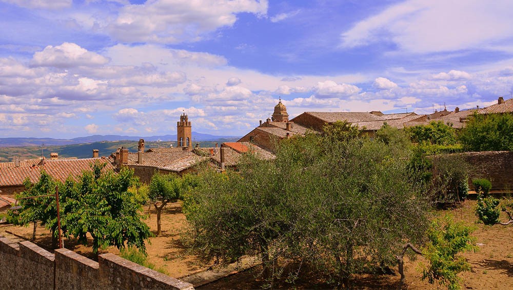 Itinerario Montalcino - Sant'Antimo