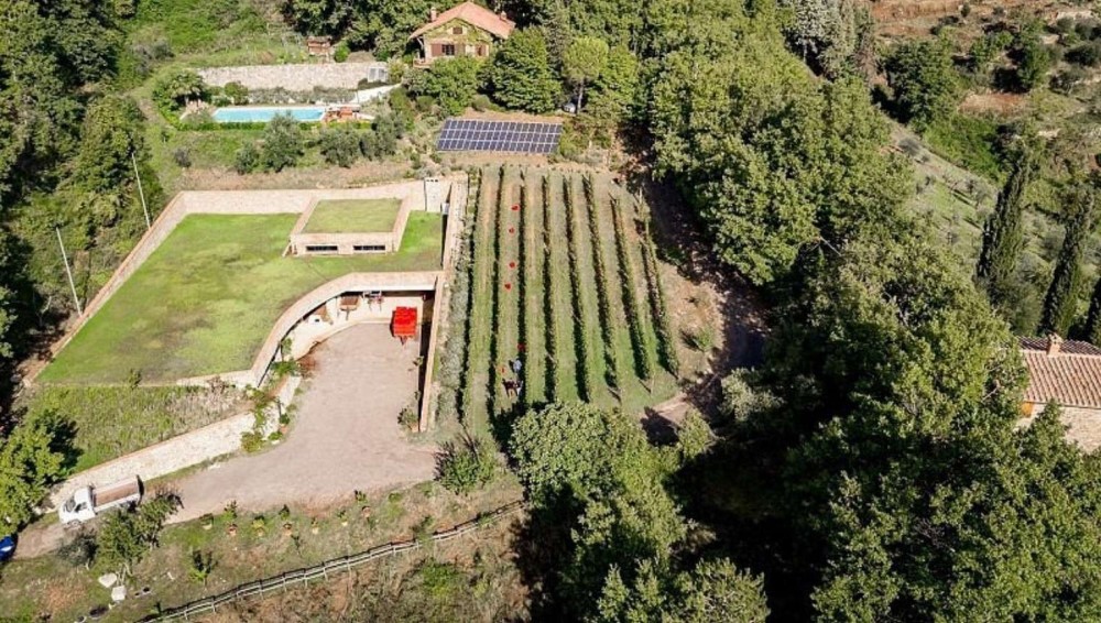 Azienda apicultura a Montalcino
