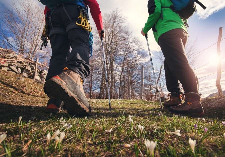 Trekking e passeggiate a piedi a Montalcino