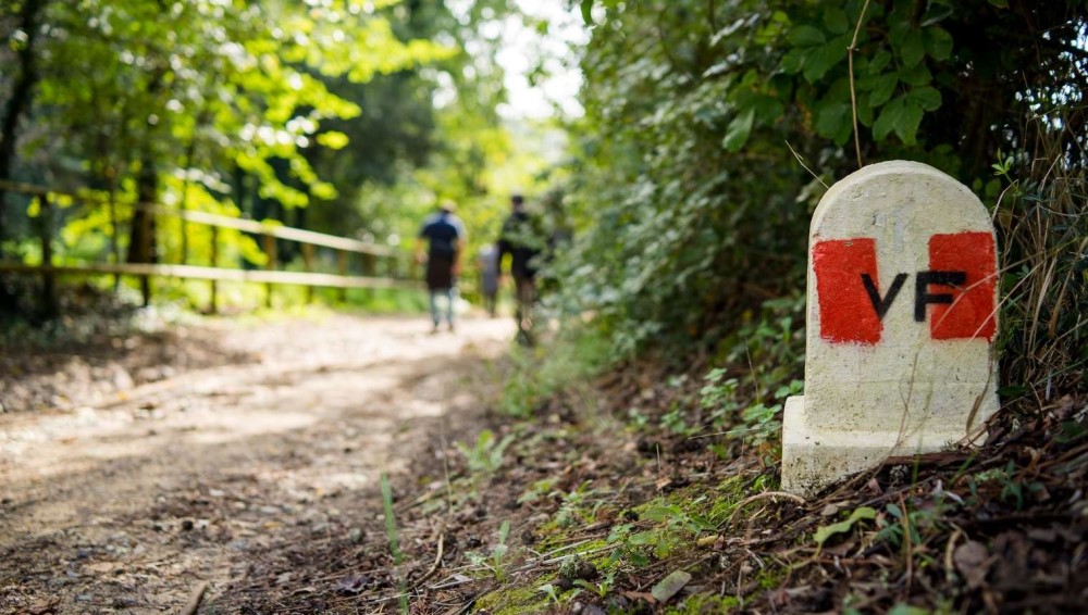 Via Francigena a Montalcino