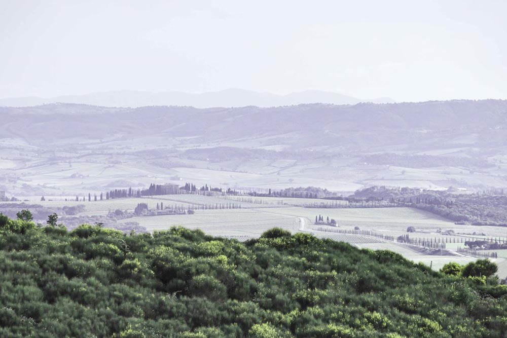 Paesaggio Poggio-Rubino