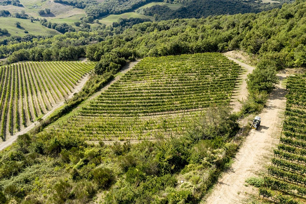 Vigneti Tassi-Cantina