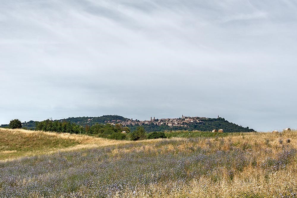 Visuale di Montalcino Via-Francigena