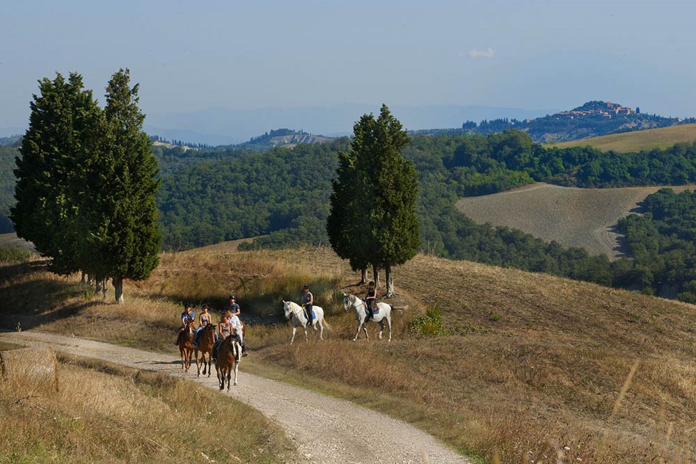 Passeggiate a cavallo in campagna Pieve-a-Salti