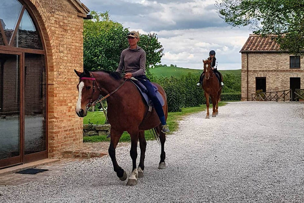 Passeggiate a cavallo Pieve-a-Salti